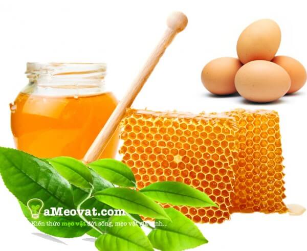 Cách dưỡng da bằng dầu dừa kết hợp với mật ong và trứng gà - dầu dừa dưỡng da